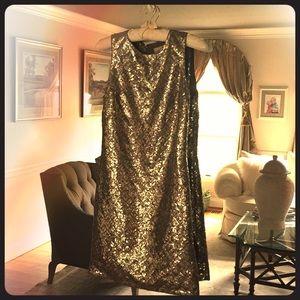 Banana Republic gold and silver sparkly dress.